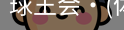 球王会